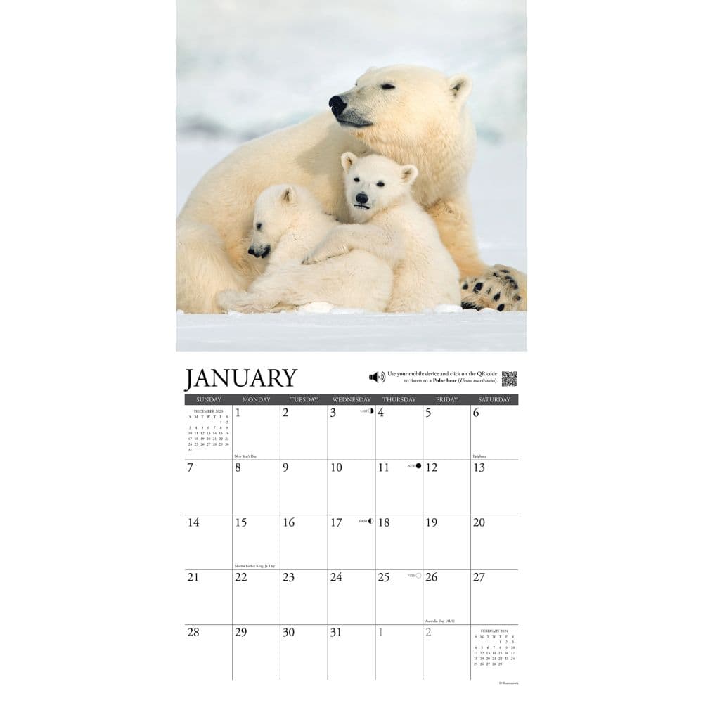 Call Of The Wild 2024 Wall Calendar Calendars Com   202400003675 ALT2 