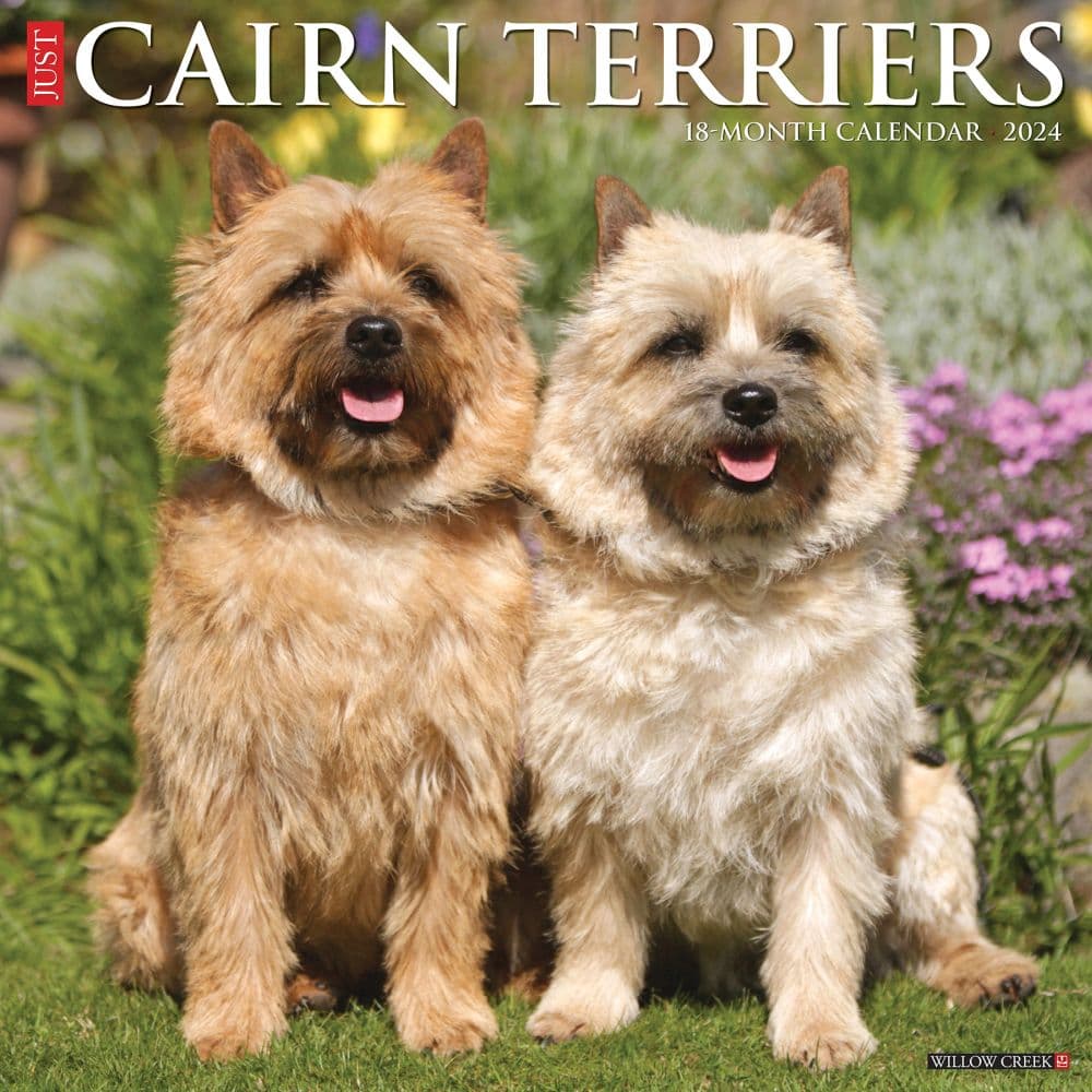 Just Cairn Terriers 2024 Wall Calendar - Calendars.com