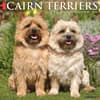 image Just Cairn Terrier 2024 Wall Calendar Main Image width=&quot;1000&quot; height=&quot;1000&quot;