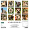 image Just Cairn Terrier 2024 Wall Calendar Back of Calendar width=&quot;1000&quot; height=&quot;1000&quot;