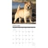 image Just Cairn Terrier 2024 Wall Calendar Interior Image width=&quot;1000&quot; height=&quot;1000&quot;
