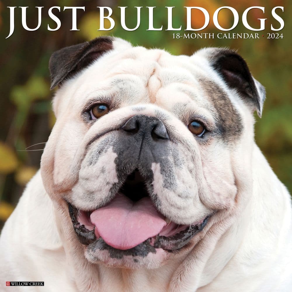 Just Bulldogs 2024 Wall Calendar