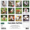 image Just Bulldog Puppies 2024 Wall Calendar Back of Calendar width=&quot;1000&quot; height=&quot;1000&quot;
