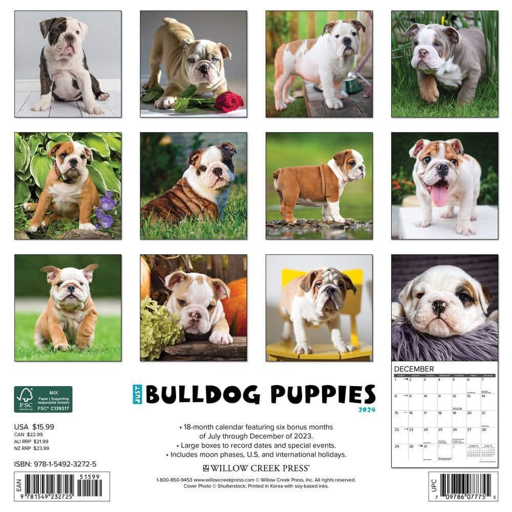 Just Bulldog Puppies 2024 Wall Calendar Back of Calendar width=&quot;1000&quot; height=&quot;1000&quot;