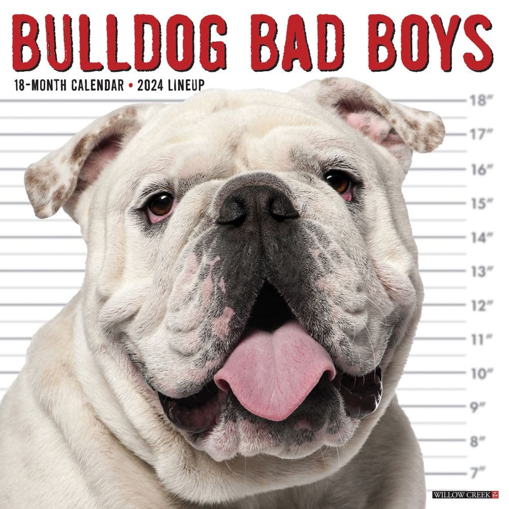 Just Bulldog Bad Boys 2024 Wall Calendar Main Image width=&quot;1000&quot; height=&quot;1000&quot;