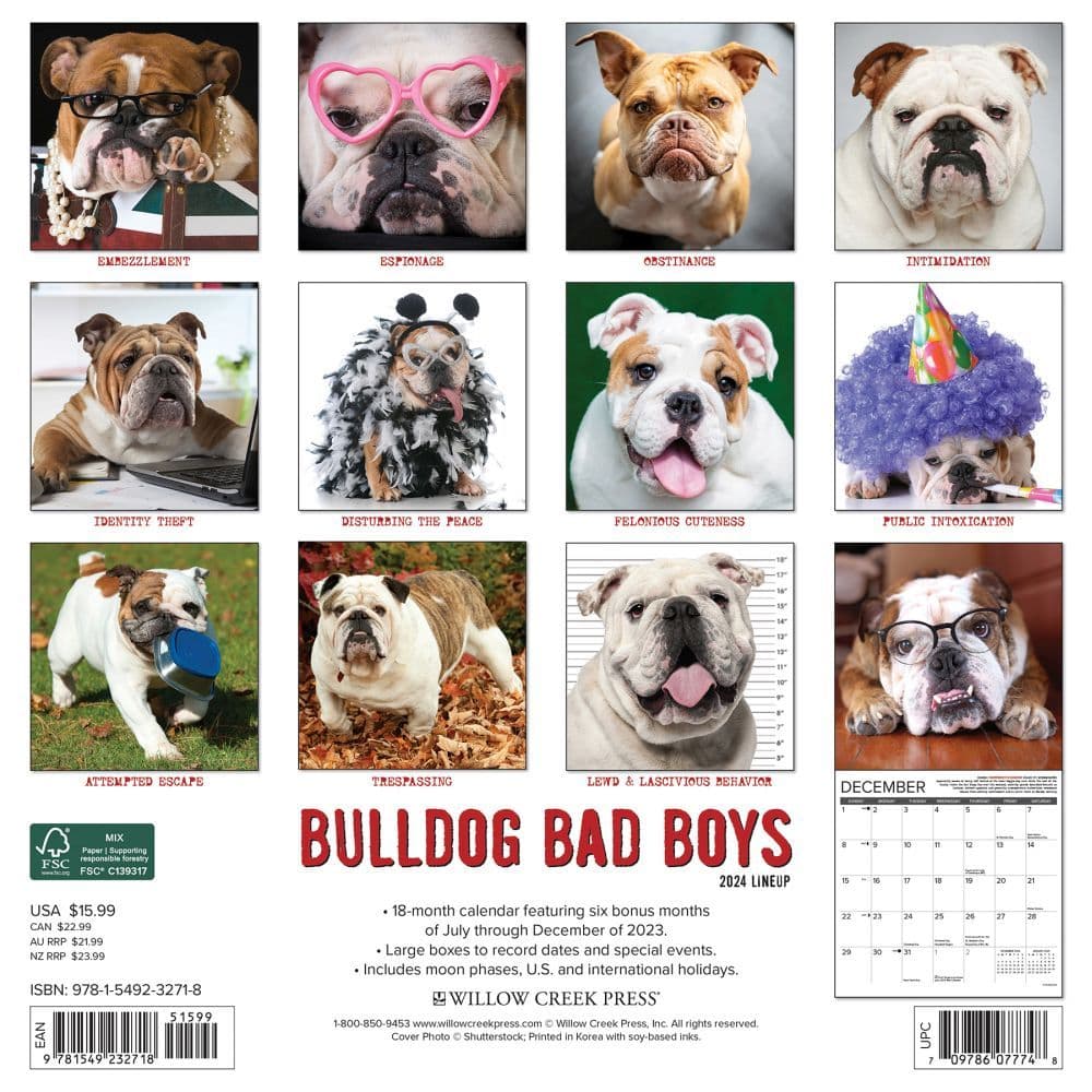 Just Bulldog Bad Boys 2024 Wall Calendar Back of Calendar width=&quot;1000&quot; height=&quot;1000&quot;