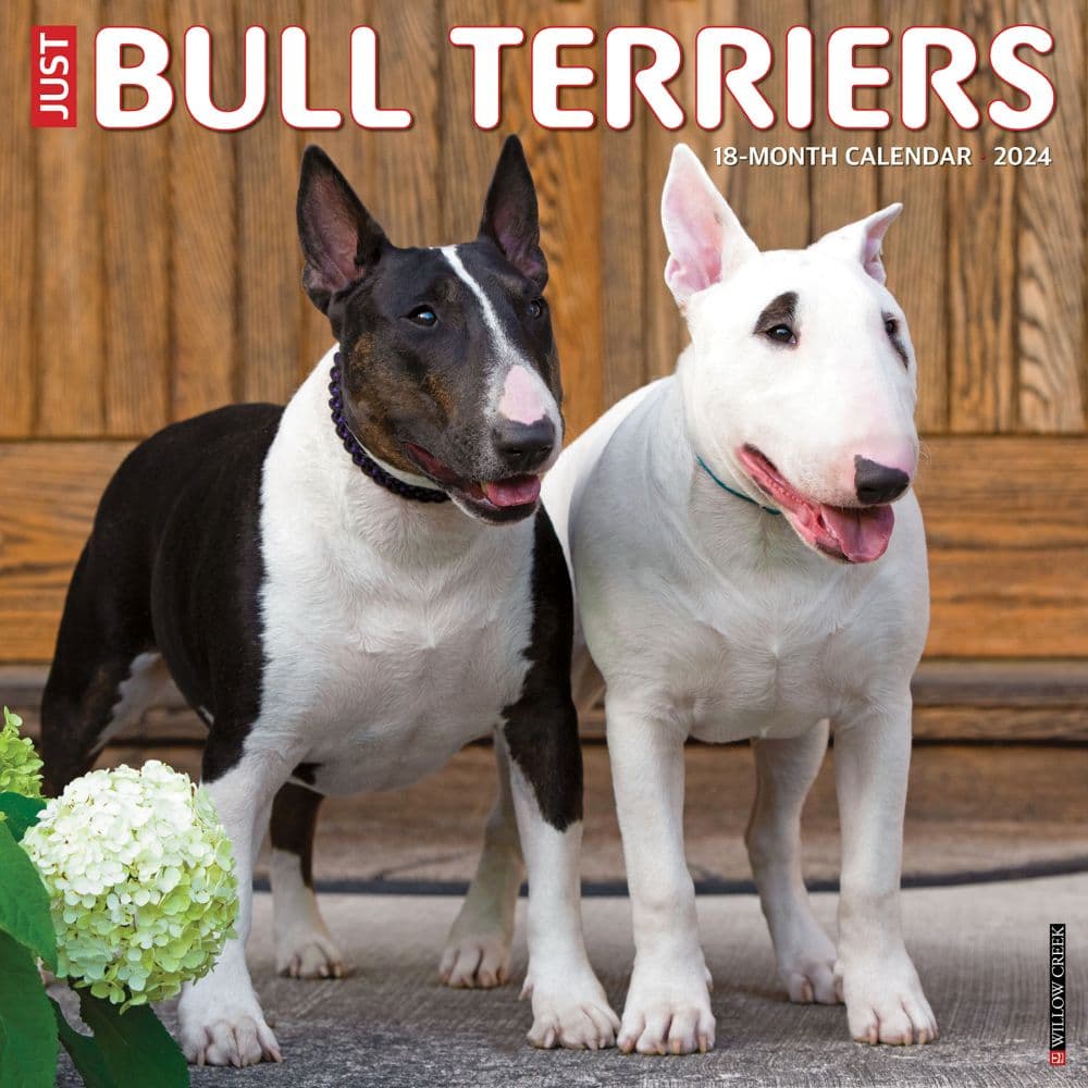 Bull Terriers 2024 Wall Calendar Main Image width=&quot;1000&quot; height=&quot;1000&quot;