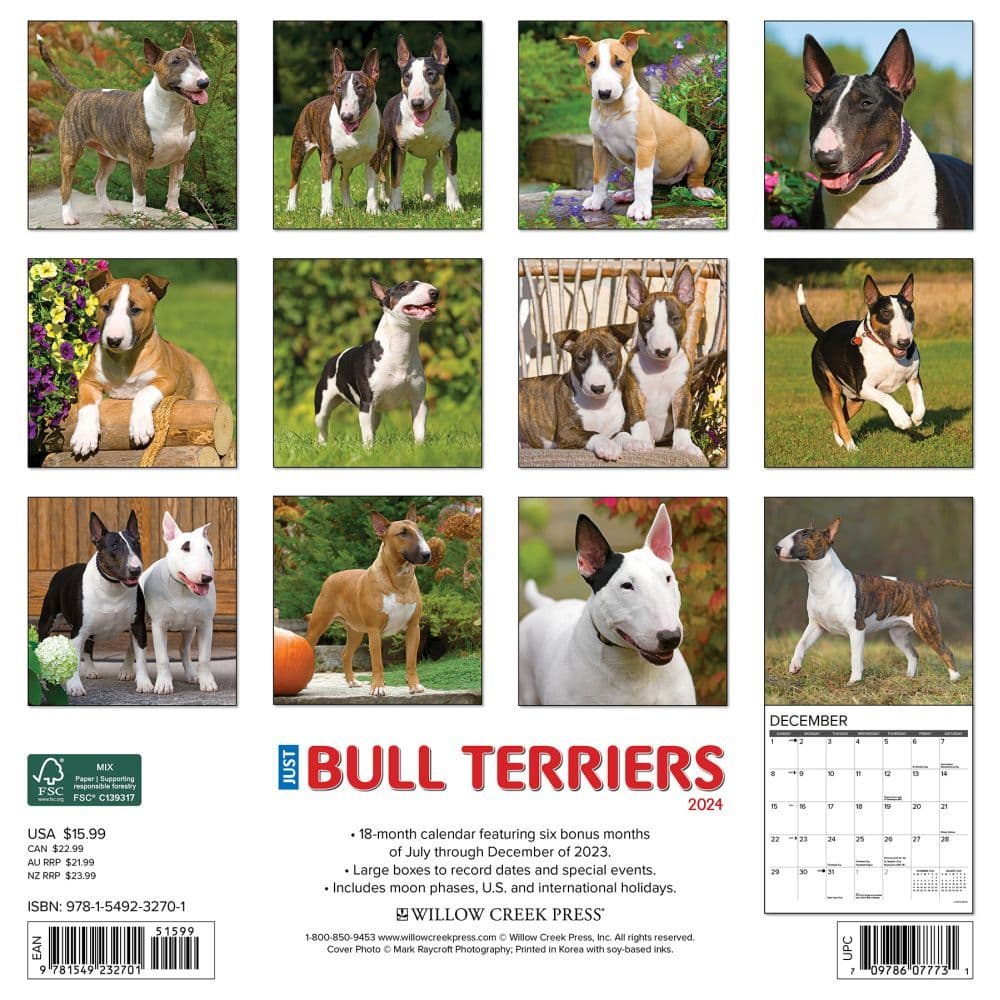 Bull Terriers 2024 Wall Calendar Back of Calendar width=&quot;1000&quot; height=&quot;1000&quot;