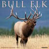 image Elk Bull 2024 Wall Calendar Main Image width=&quot;1000&quot; height=&quot;1000&quot;