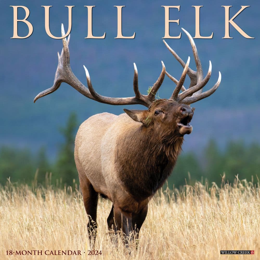 Elk Bull 2024 Wall Calendar Main Image width=&quot;1000&quot; height=&quot;1000&quot;