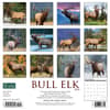 image Elk Bull 2024 Wall Calendar Back of Calendar width=&quot;1000&quot; height=&quot;1000&quot;