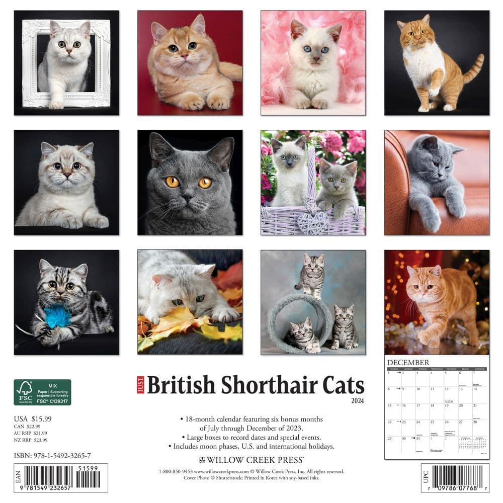 British Shorthair Cats 2024 Wall Calendar Back of Calendar width=&quot;1000&quot; height=&quot;1000&quot;