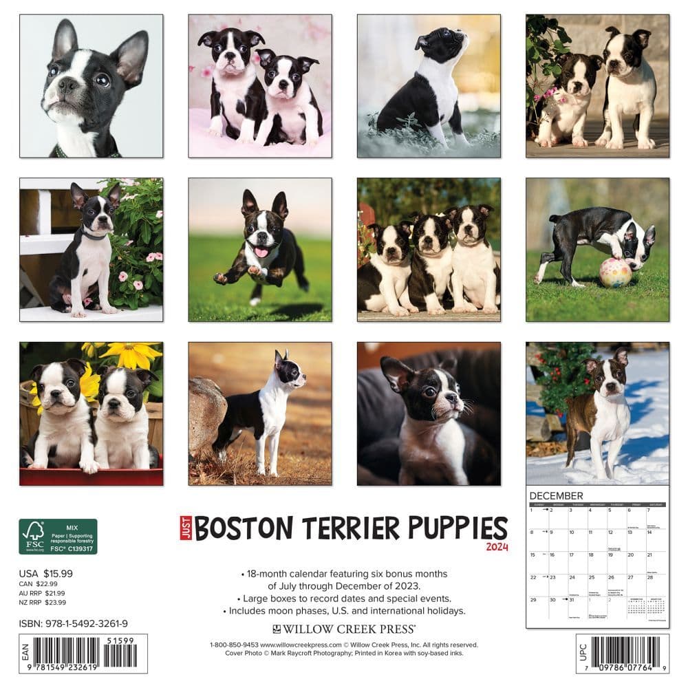 Boston Terrier Puppies Just 2024 Wall Calendar Back of Calendar width=&quot;1000&quot; height=&quot;1000&quot;