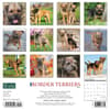 image Border Terriers 2024 Wall Calendar Back of Calendar width=&quot;1000&quot; height=&quot;1000&quot;