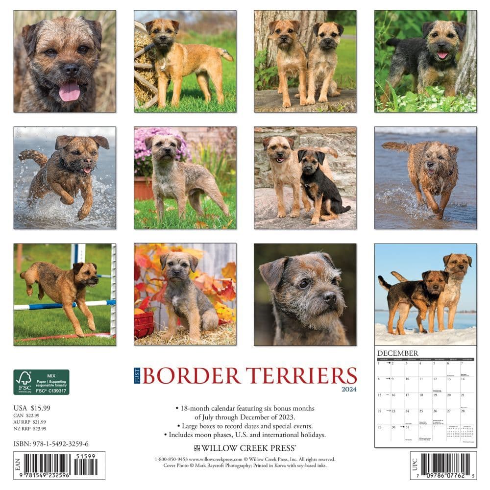 Border Terriers 2024 Wall Calendar Back of Calendar width=&quot;1000&quot; height=&quot;1000&quot;