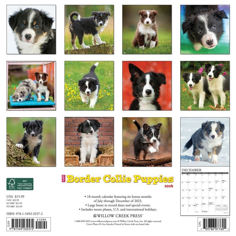 Just Border Collie Puppies 2024 Wall Calendar Back of Calendar width=&quot;1000&quot; height=&quot;1000&quot;