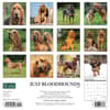 image Bloodhounds 2024 Wall Calendar Back of Calendar width=&quot;1000&quot; height=&quot;1000&quot;