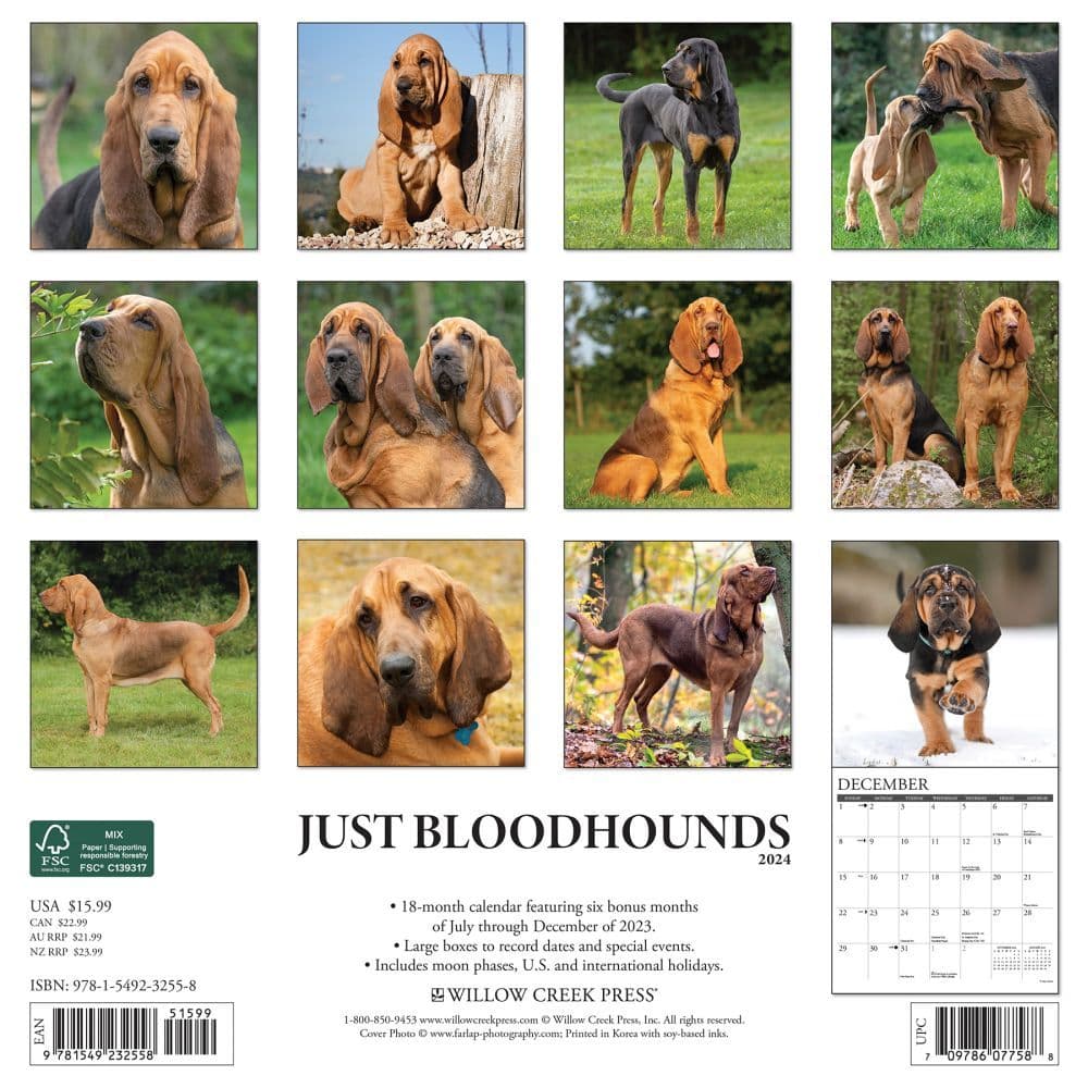 Bloodhounds 2024 Wall Calendar Back of Calendar width=&quot;1000&quot; height=&quot;1000&quot;