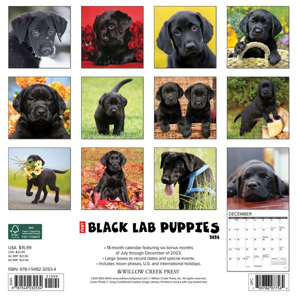 Just Lab Black Puppies 2024 Wall Calendar Back of Calendar width=&quot;1000&quot; height=&quot;1000&quot;