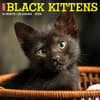 image Black Kitties 2024 Wall Calendar Main Image width=&quot;1000&quot; height=&quot;1000&quot;