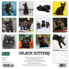 image Black Kitties 2024 Wall Calendar Back of Calendar width=&quot;1000&quot; height=&quot;1000&quot;