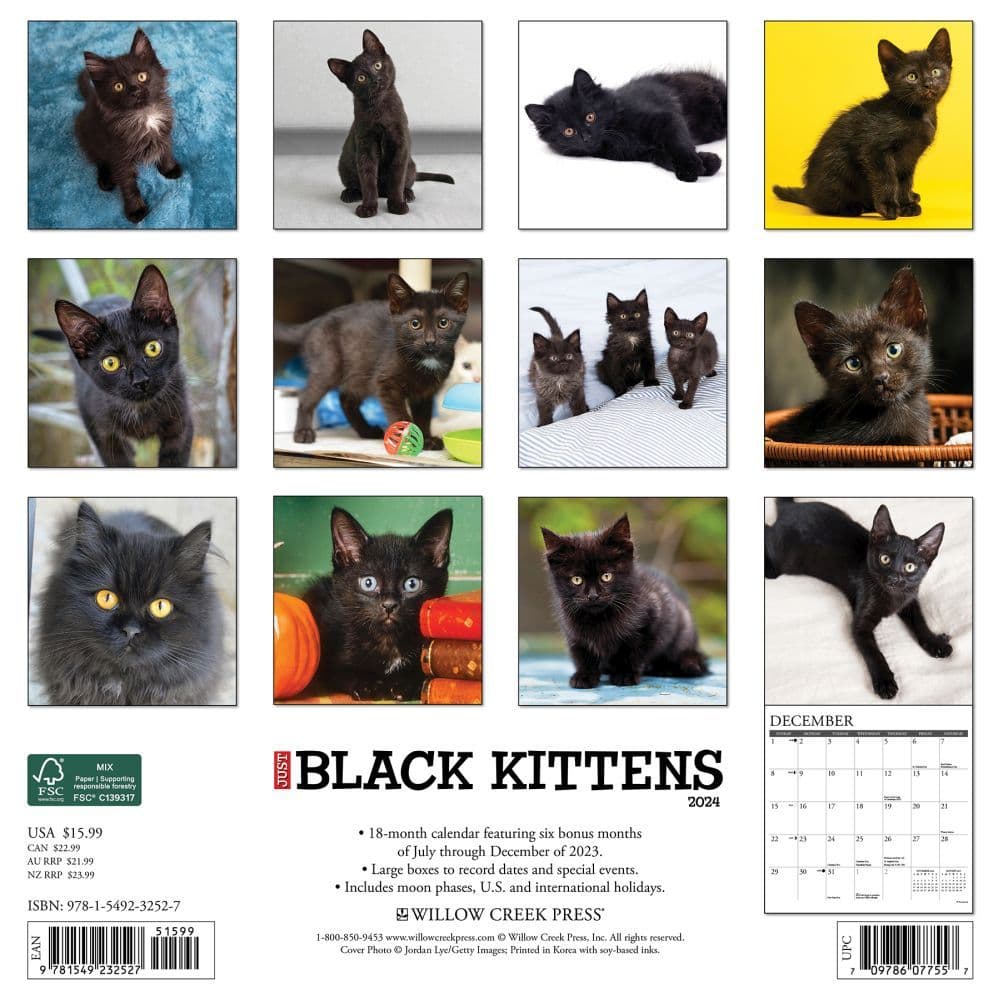 Black Kitties 2024 Wall Calendar Back of Calendar width=&quot;1000&quot; height=&quot;1000&quot;