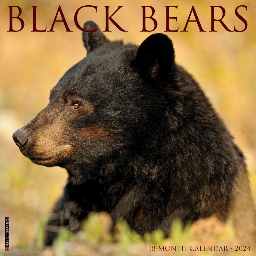 wholesale rustic black bear decor        
        <figure class=