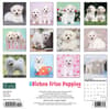 image Just Bichon Frises Puppies 2024 Wall Calendar Back of Calendar width=&quot;1000&quot; height=&quot;1000&quot;