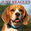 image Just Beagles 2024 Wall Calendar Main Image width=&quot;1000&quot; height=&quot;1000&quot;