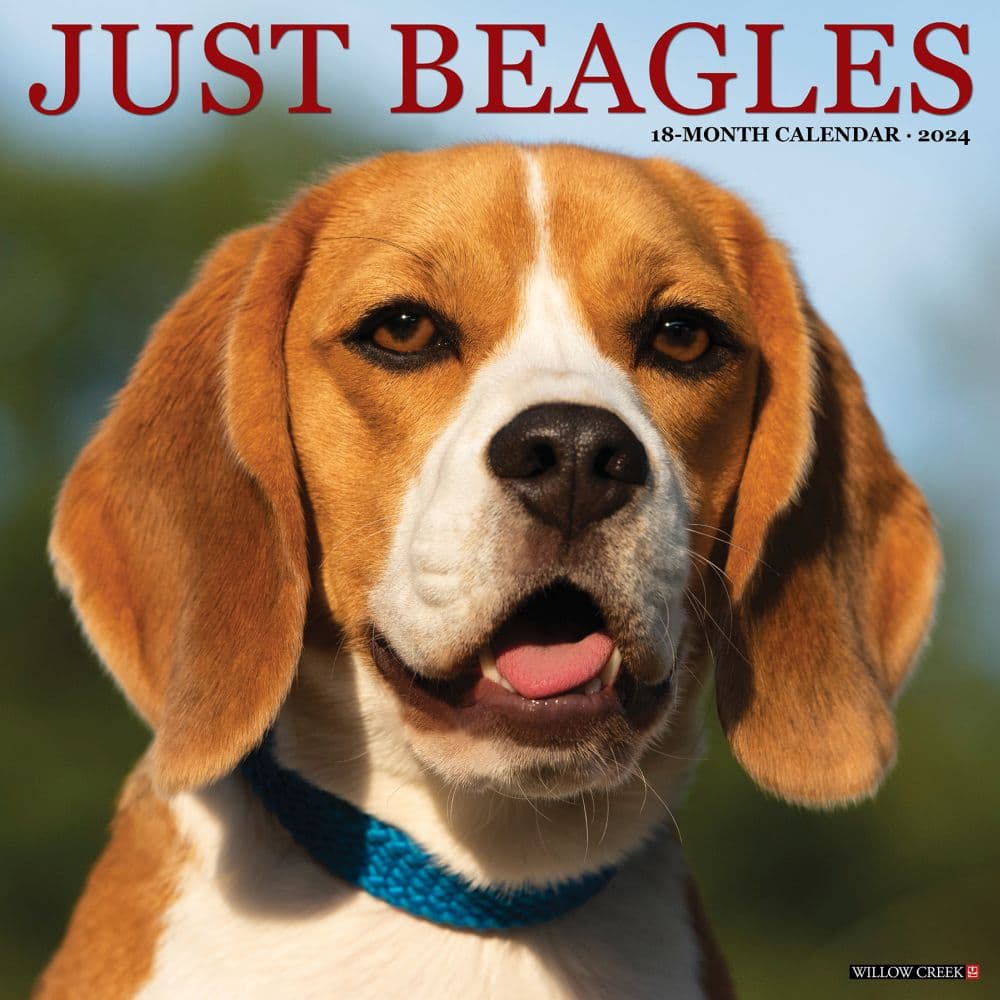 Just Beagles 2024 Wall Calendar Main Image width=&quot;1000&quot; height=&quot;1000&quot;
