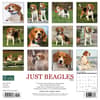 image Just Beagles 2024 Wall Calendar Back of Calendar width=&quot;1000&quot; height=&quot;1000&quot;