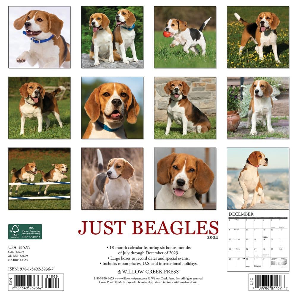 Just Beagles 2024 Wall Calendar Back of Calendar width=&quot;1000&quot; height=&quot;1000&quot;