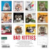 image Bad Kitties Just 2024 Wall Calendar Back of Calendar width=&quot;1000&quot; height=&quot;1000&quot;