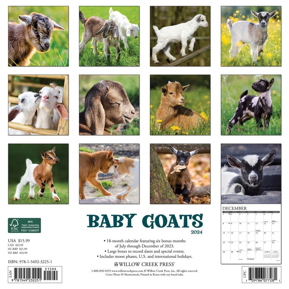 Baby Goats 2024 Wall Calendar Back of Calendar width=&quot;1000&quot; height=&quot;1000&quot;