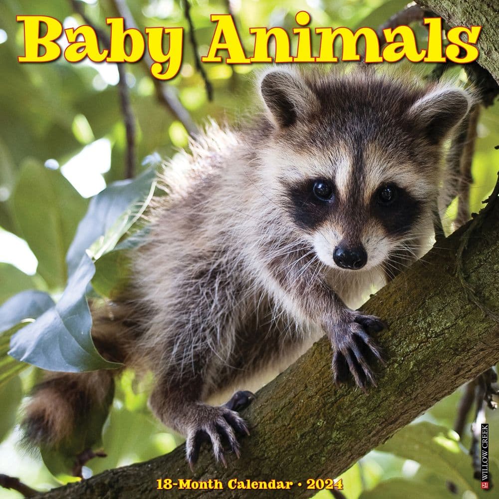 Baby Animals 2024 Wall Calendar