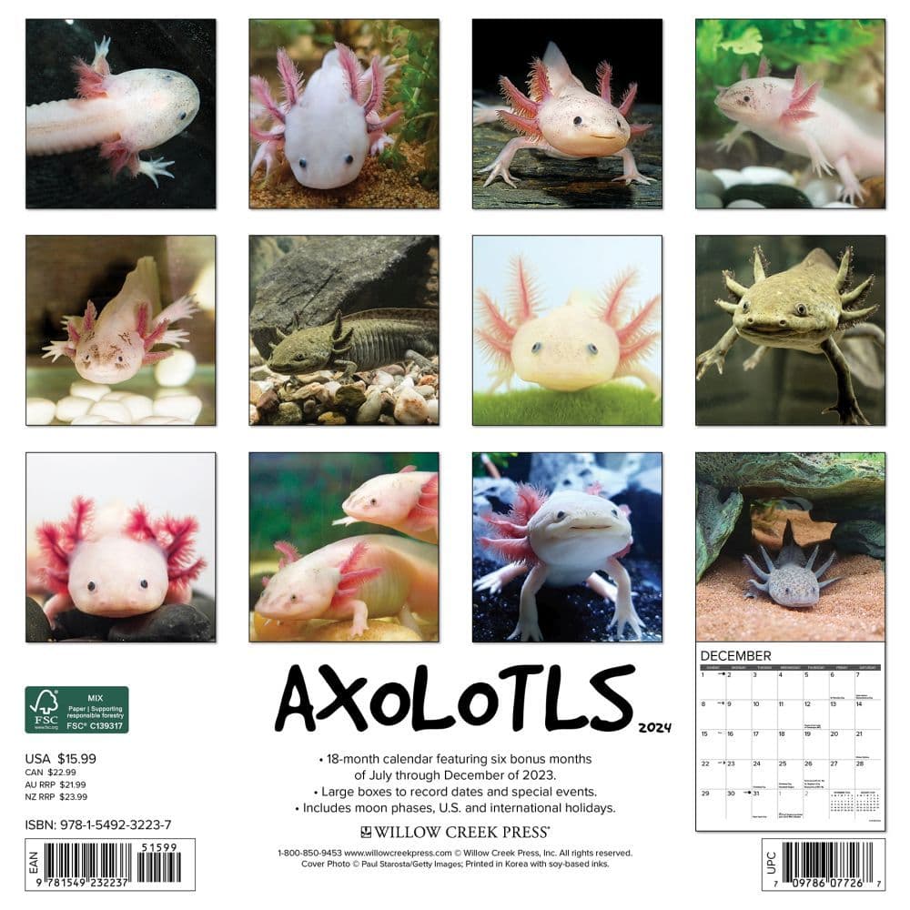 Axolotls 2024 Wall Calendar Back of Calendar width=&quot;1000&quot; height=&quot;1000&quot;