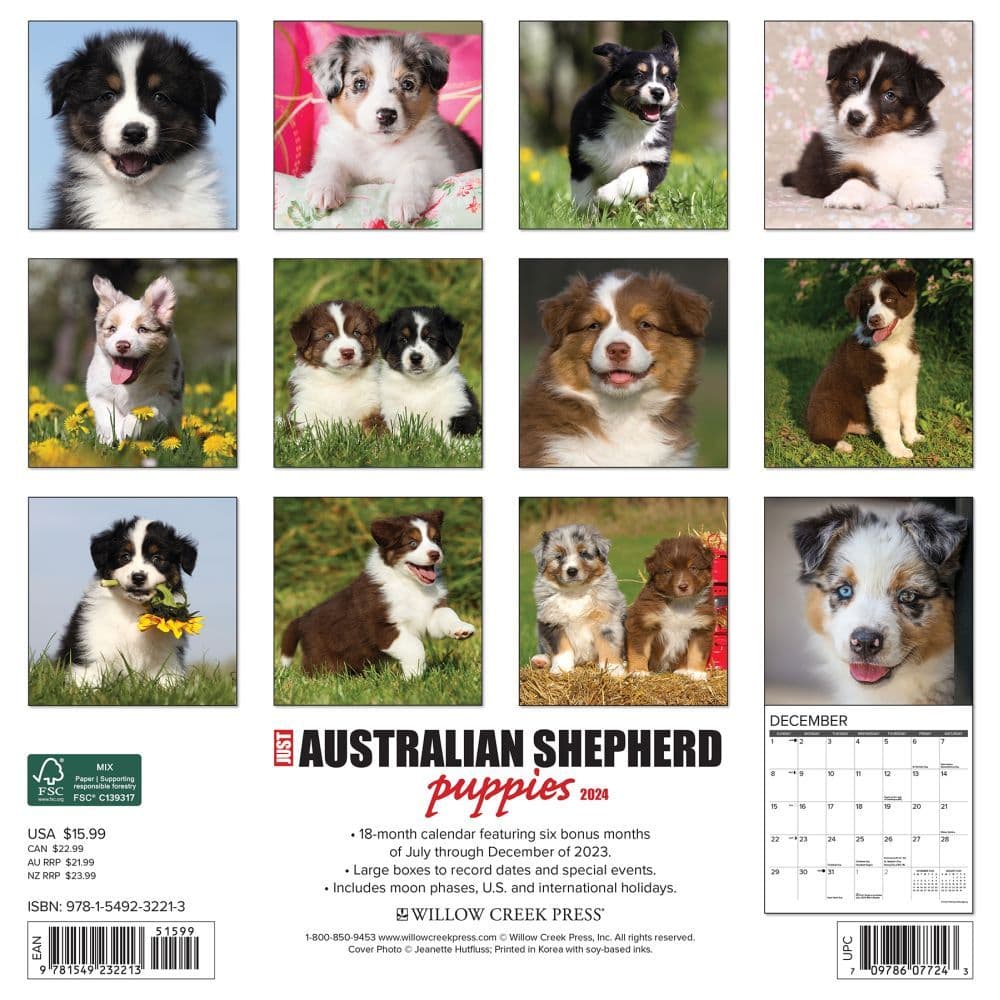 Australian Shepherd Puppies 2024 Wall Calendar Back of Calendar width=&quot;1000&quot; height=&quot;1000&quot;