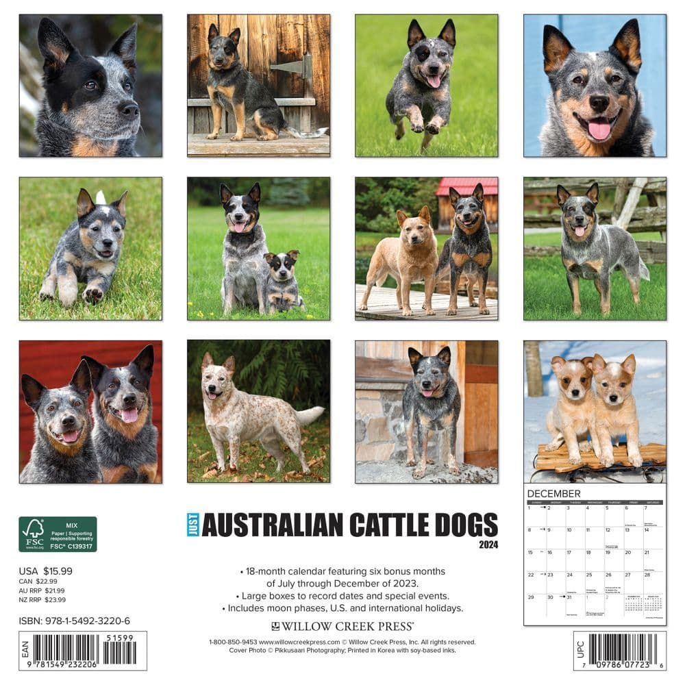 Just Australian Cattle Dogs 2024 Wall Calendar Back of Calendar width=&quot;1000&quot; height=&quot;1000&quot;