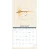 image Art of the Fly 2024 Wall Calendar Interior Image width=&quot;1000&quot; height=&quot;1000&quot;