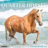 image Horses American Quarter 2024 Wall Calendar Main Image width=&quot;1000&quot; height=&quot;1000&quot;