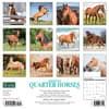 image Horses American Quarter 2024 Wall Calendar Back of Calendar width=&quot;1000&quot; height=&quot;1000&quot;