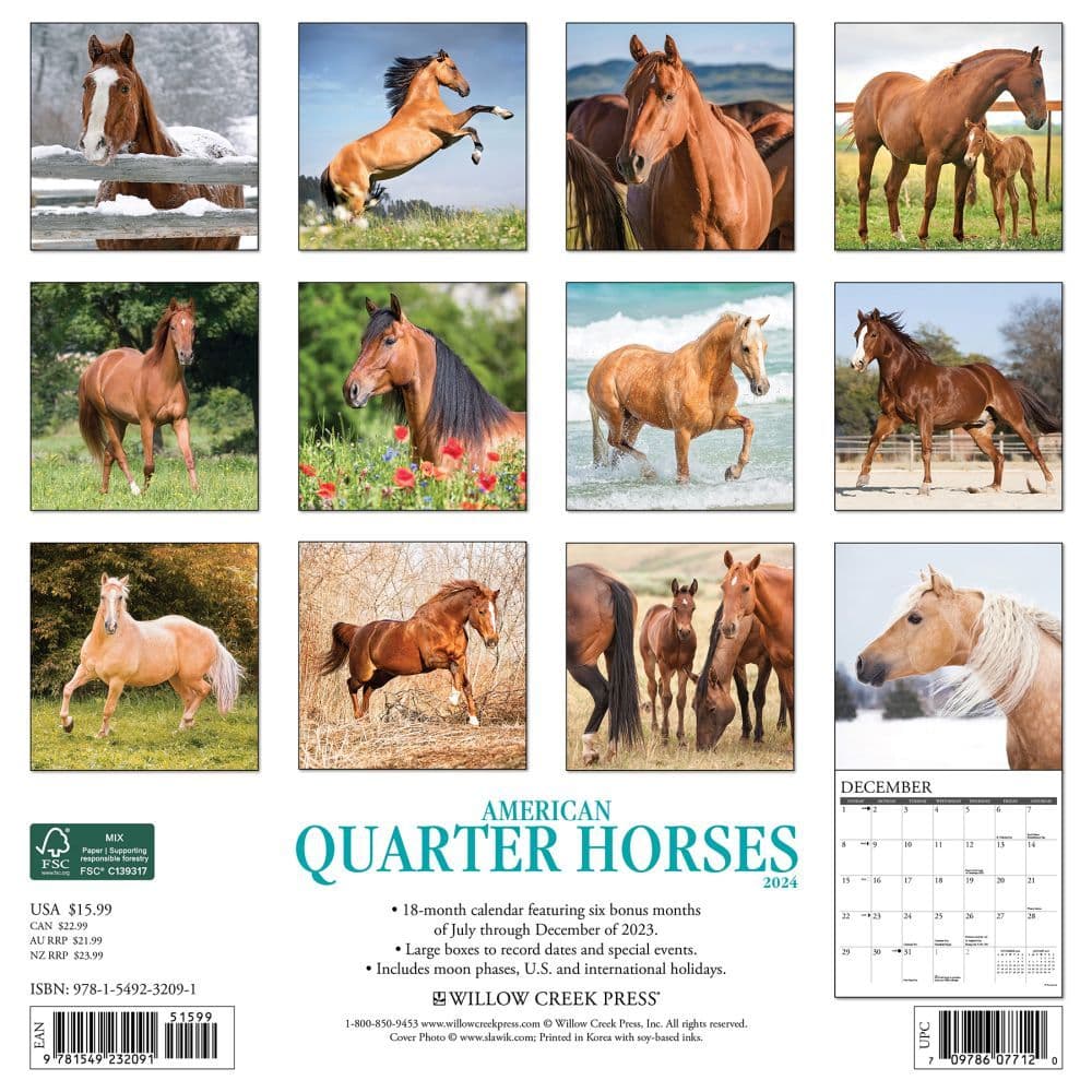 Horses American Quarter 2024 Wall Calendar Back of Calendar width=&quot;1000&quot; height=&quot;1000&quot;