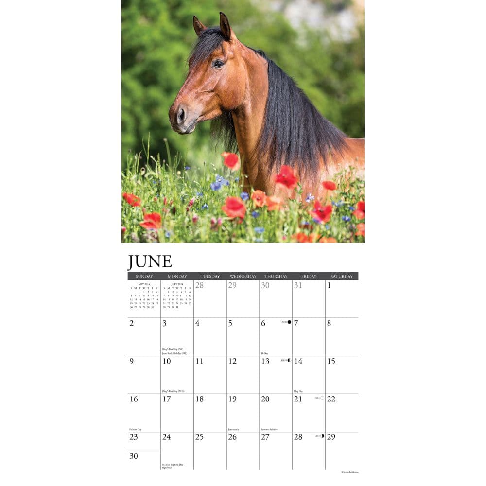 Horses American Quarter 2024 Wall Calendar Interior Image width=&quot;1000&quot; height=&quot;1000&quot;
