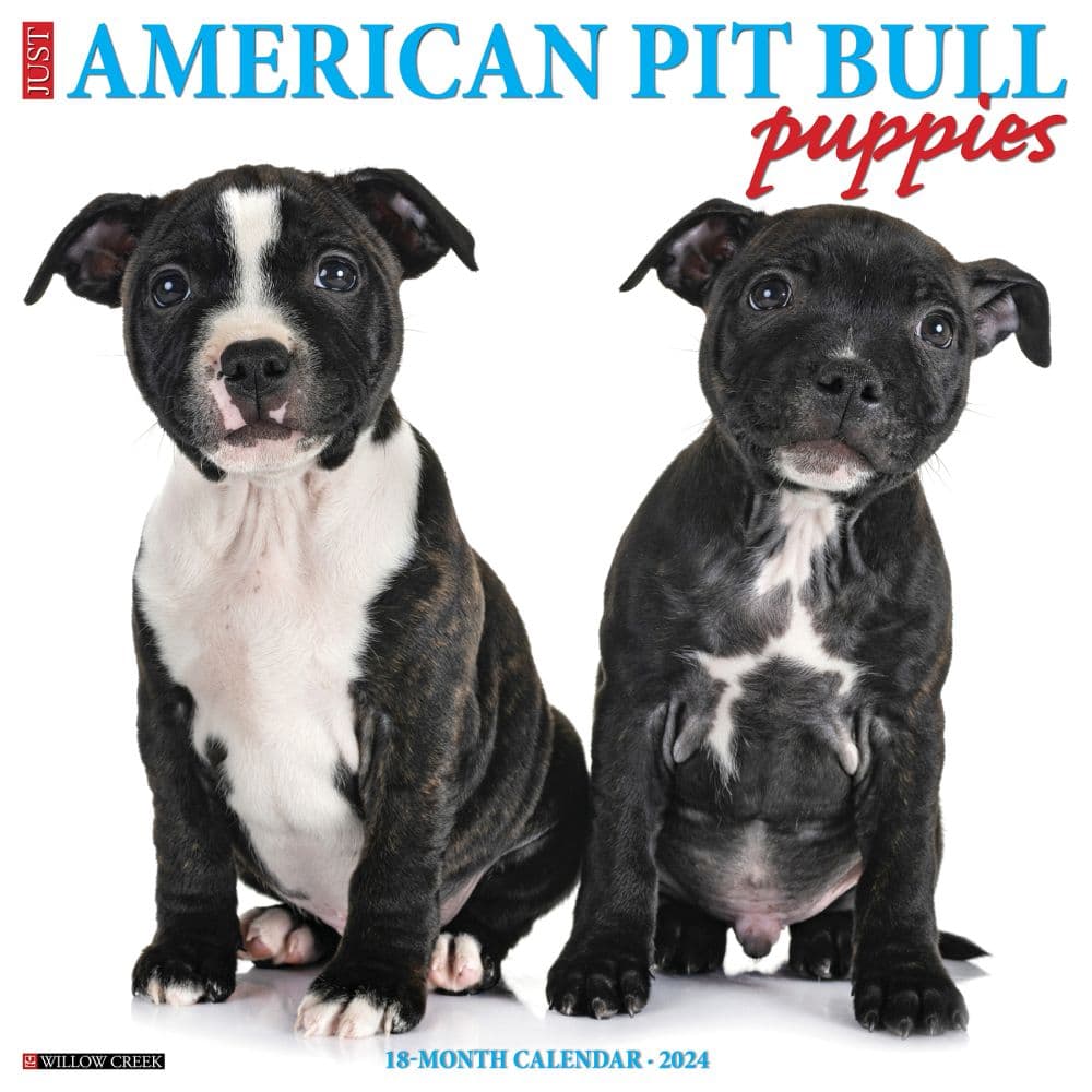 Just Pit Bull Terrier Puppies 2024 Wall Calendar Main Image width=&quot;1000&quot; height=&quot;1000&quot;