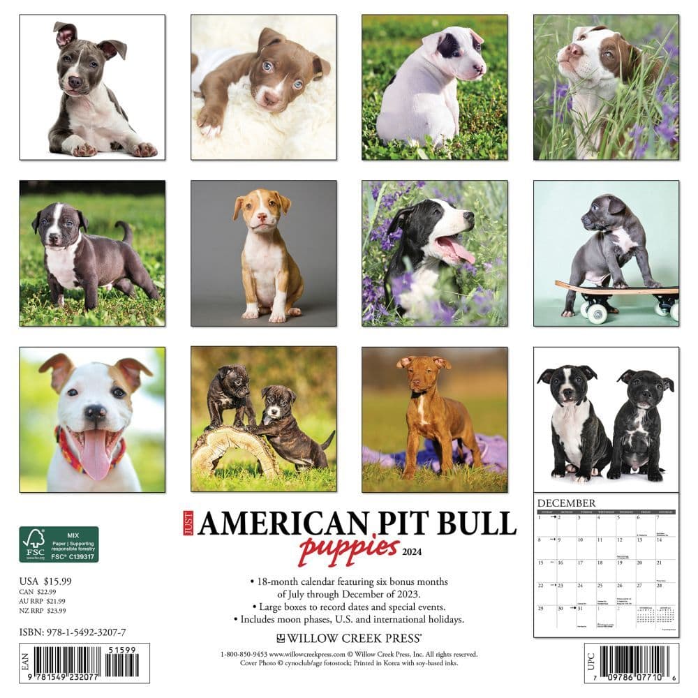 Just Pit Bull Terrier Puppies 2024 Wall Calendar Back of Calendar width=&quot;1000&quot; height=&quot;1000&quot;