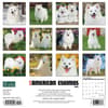 image Just American Eskimo Dogs 2024 Wall Calendar Back of Calendar width=&quot;1000&quot; height=&quot;1000&quot;