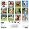 image Alpacas 2024 Wall Calendar Back of Calendar width=&quot;1000&quot; height=&quot;1000&quot;