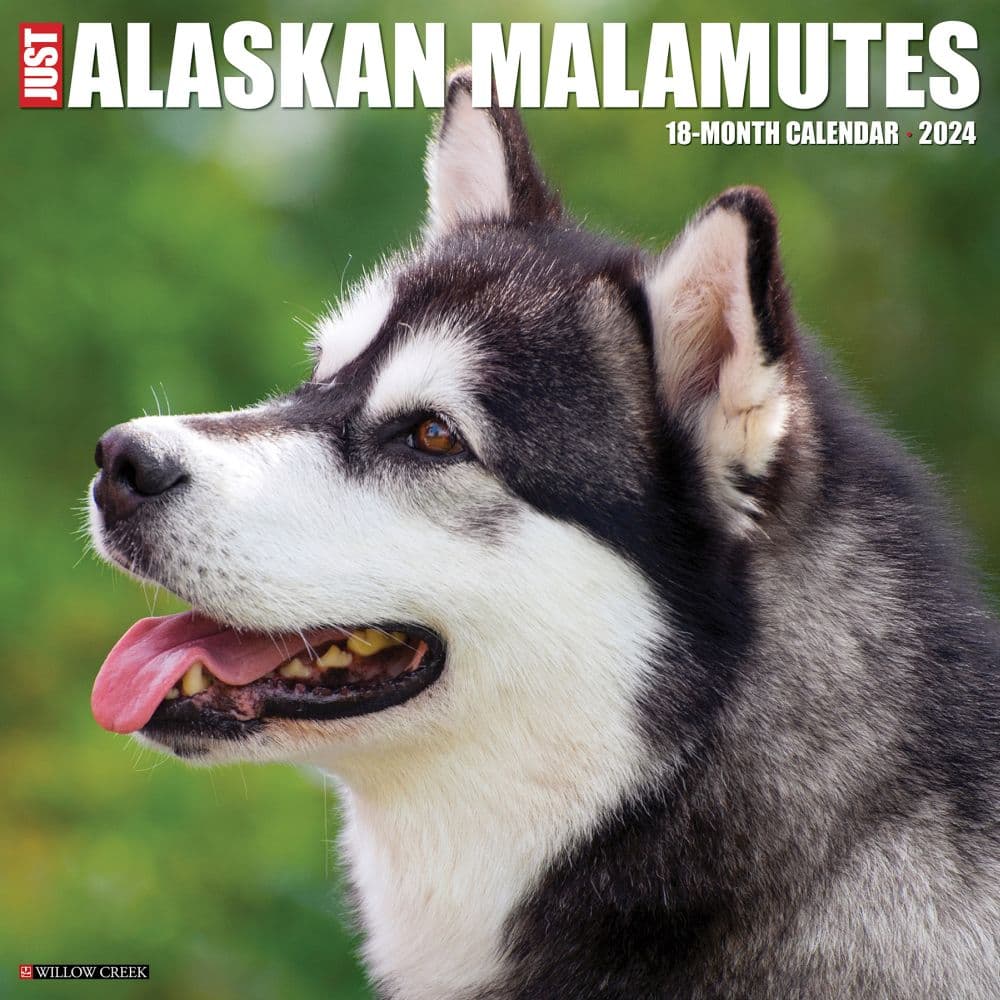 Alaskan Malamutes 2024 Wall Calendar Calendars Com   202400003754 