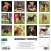 image Just Airedale Terriers 2024 Wall Calendar Back of Calendar width=&quot;1000&quot; height=&quot;1000&quot;