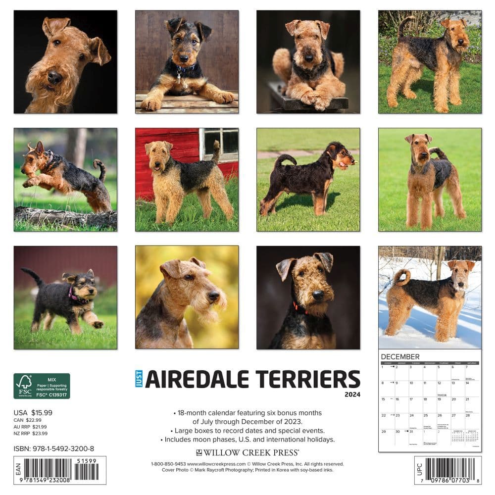 Just Airedale Terriers 2024 Wall Calendar Back of Calendar width=&quot;1000&quot; height=&quot;1000&quot;